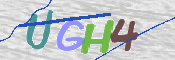 CAPTCHA (Şahıs Denetim Kodu) Resmi